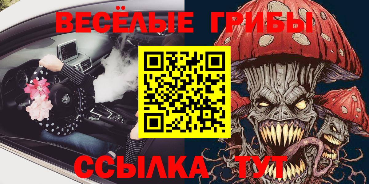 Псилоцибиновые грибы GOLDEN TEACHER  Галлюциногенные грибы Psilocybine cubensis  Вход с VPN  Губкинский 