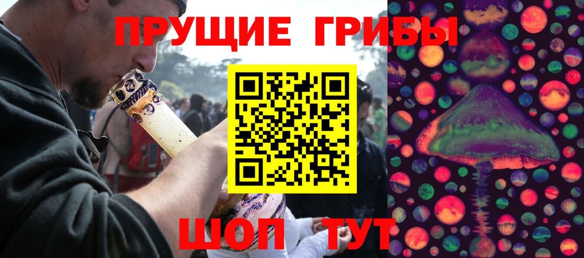 Галлюциногенные грибы мухоморы Губкинский